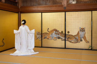 古都photo_アドバイス写真