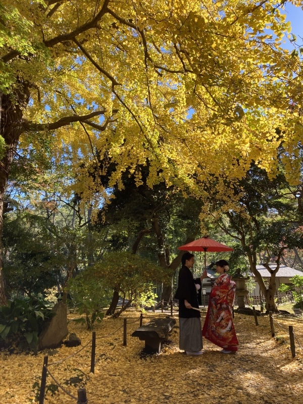 華雅苑 横浜店_投稿写真