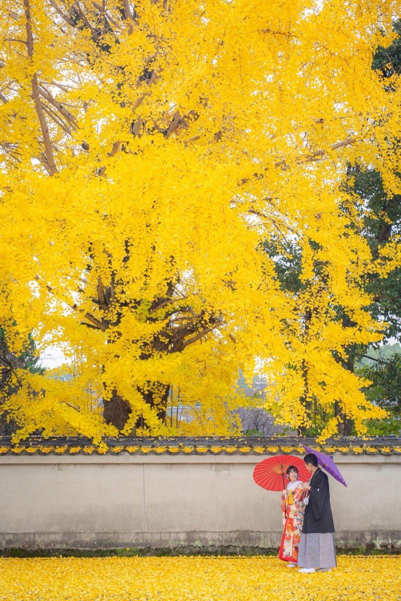 古都photo_投稿写真