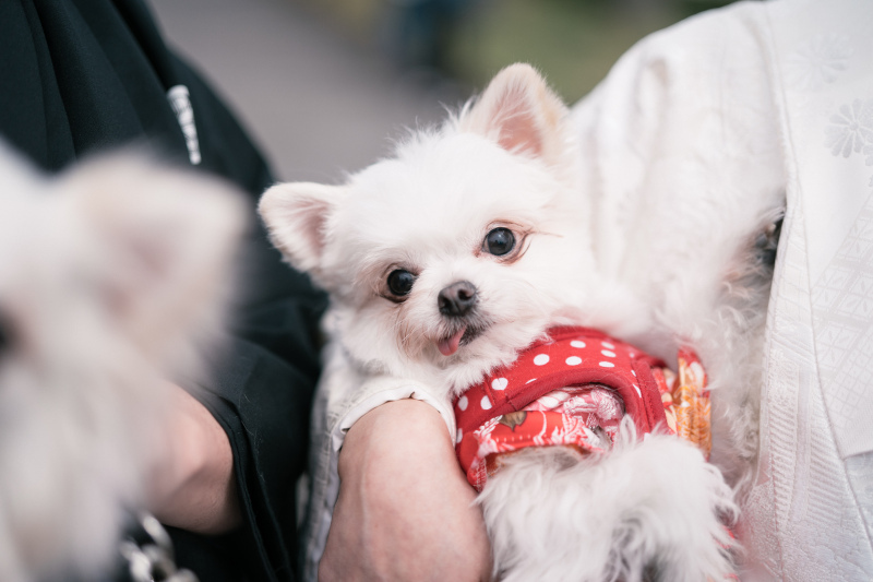ラヴィファクトリー京都店_投稿写真