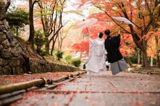 ハルウェディング_アドバイス写真