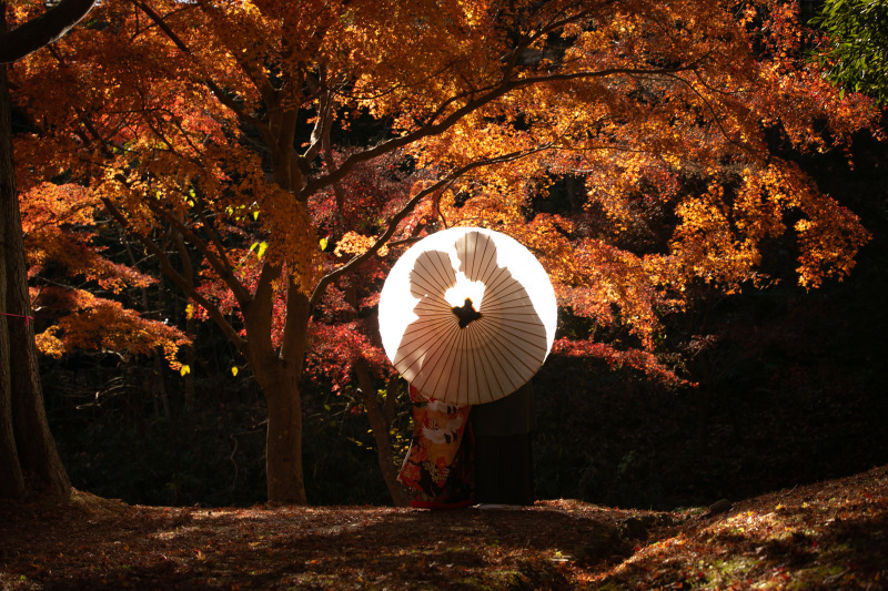 小貫写真館 Paseo nuevo水戸_投稿写真