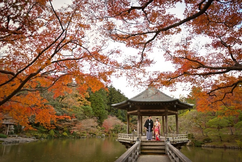 和装にぴったり_19814_投稿写真_2