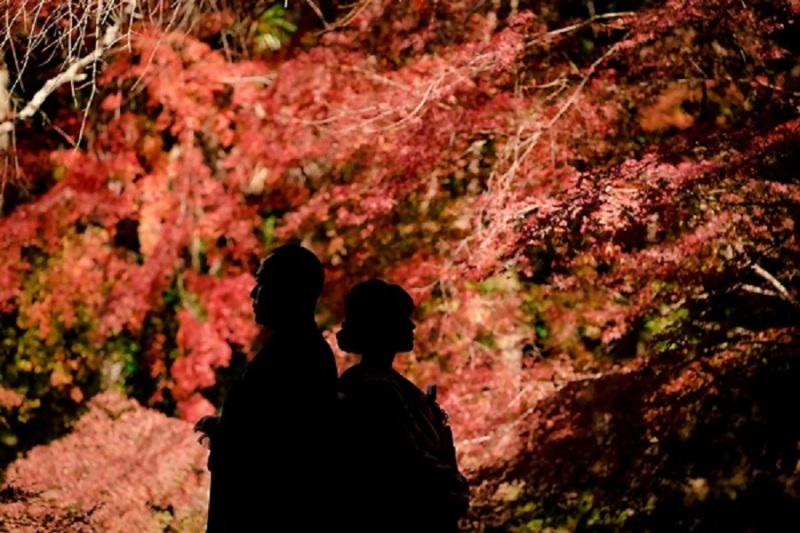 Arch Bridal_投稿写真