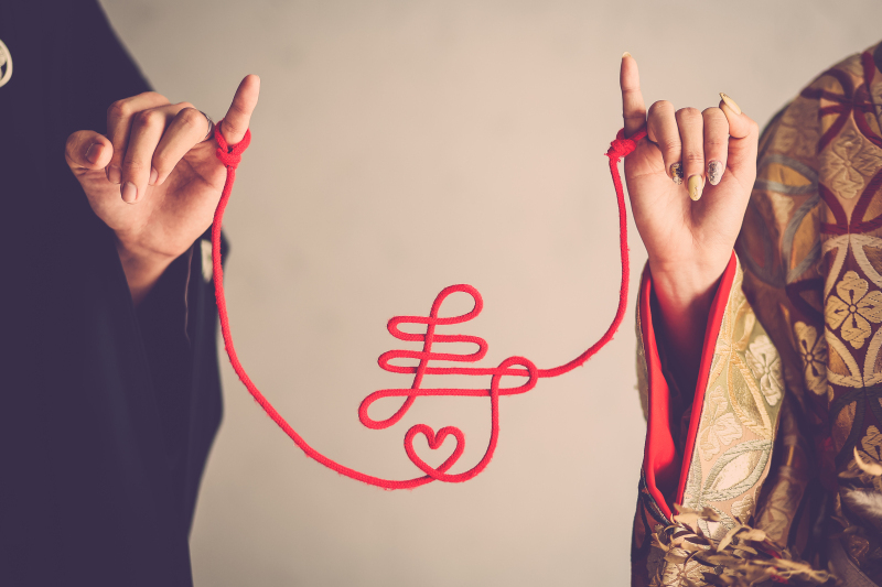 こぶたしゃしんかん_投稿写真