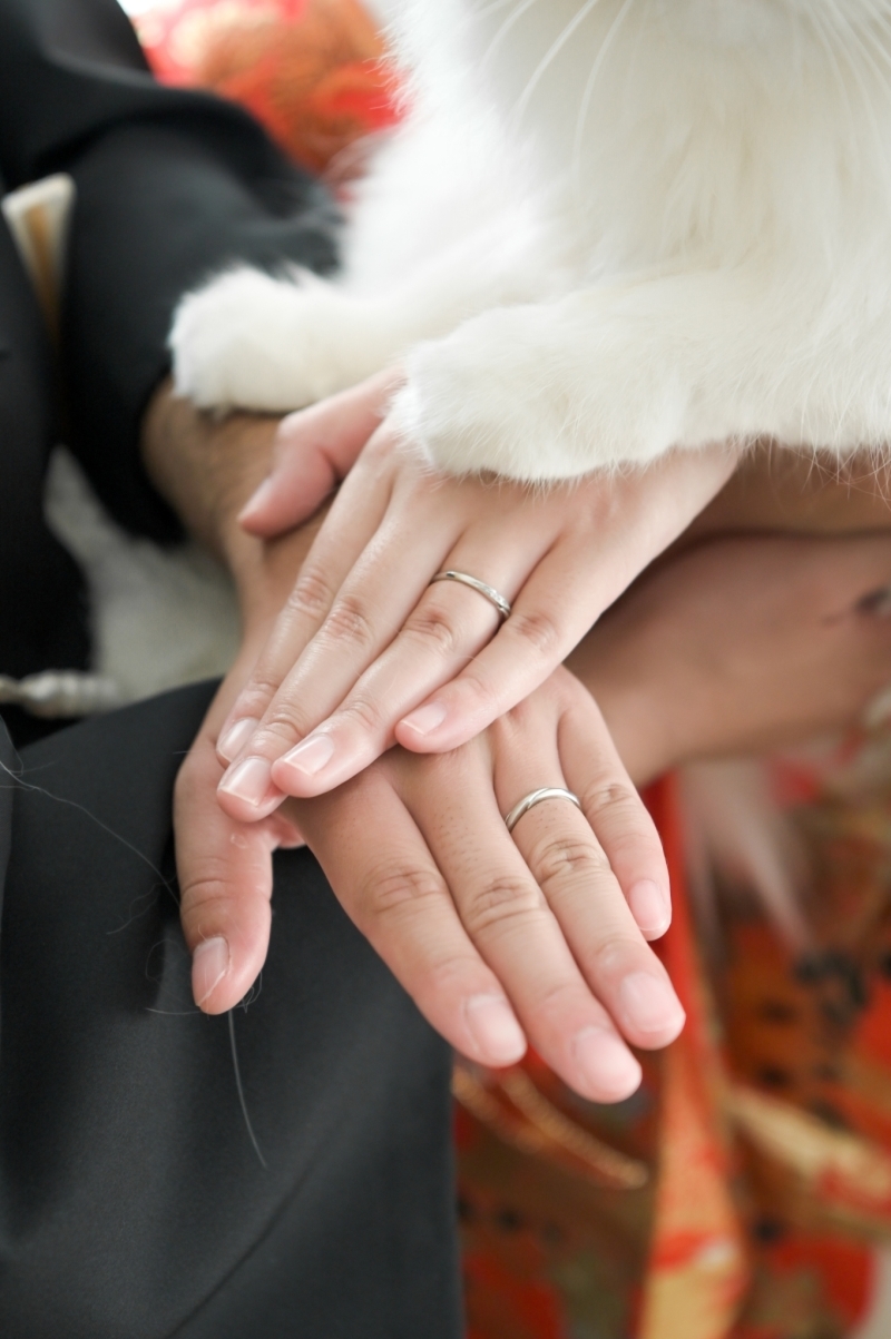 フォトスタジオ　ミルフィーユ草加店_投稿写真