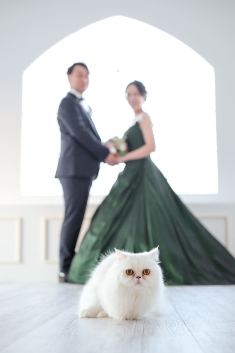 フォトスタジオ　ミルフィーユ草加店_投稿写真