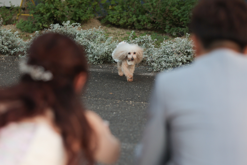 スタッフの対応大満足、写真が苦手な私も笑顔に_19948_投稿写真_1