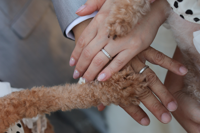 スタッフの対応大満足、写真が苦手な私も笑顔に_19948_投稿写真_2