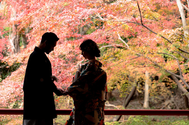 京都 あざらし堂 ー写真部ー_投稿写真