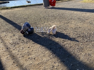 華雅苑 横浜店_アドバイス写真