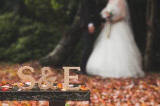 Vivid_アドバイス写真