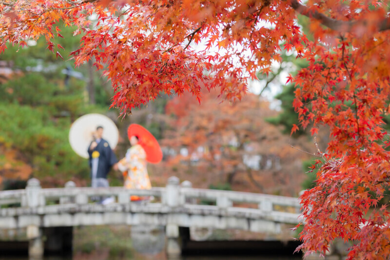 フォトウエディング華_投稿写真