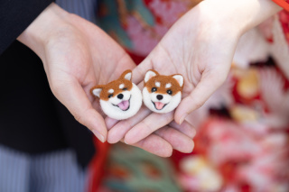 古都photo_アドバイス写真