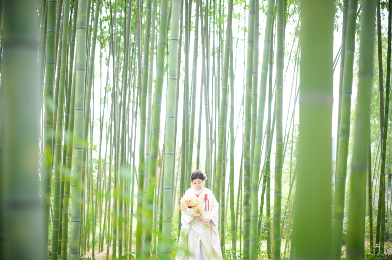 THE DRESS ROOM 京都アトリエ_投稿写真