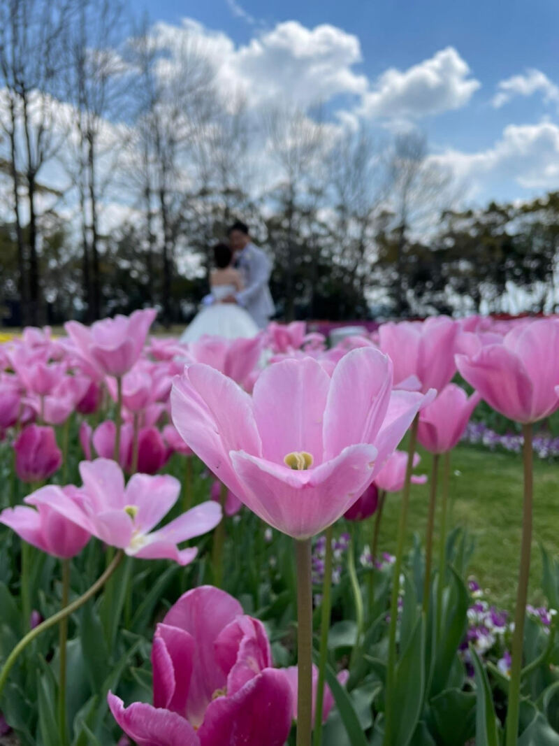 ハウステンボス_投稿写真