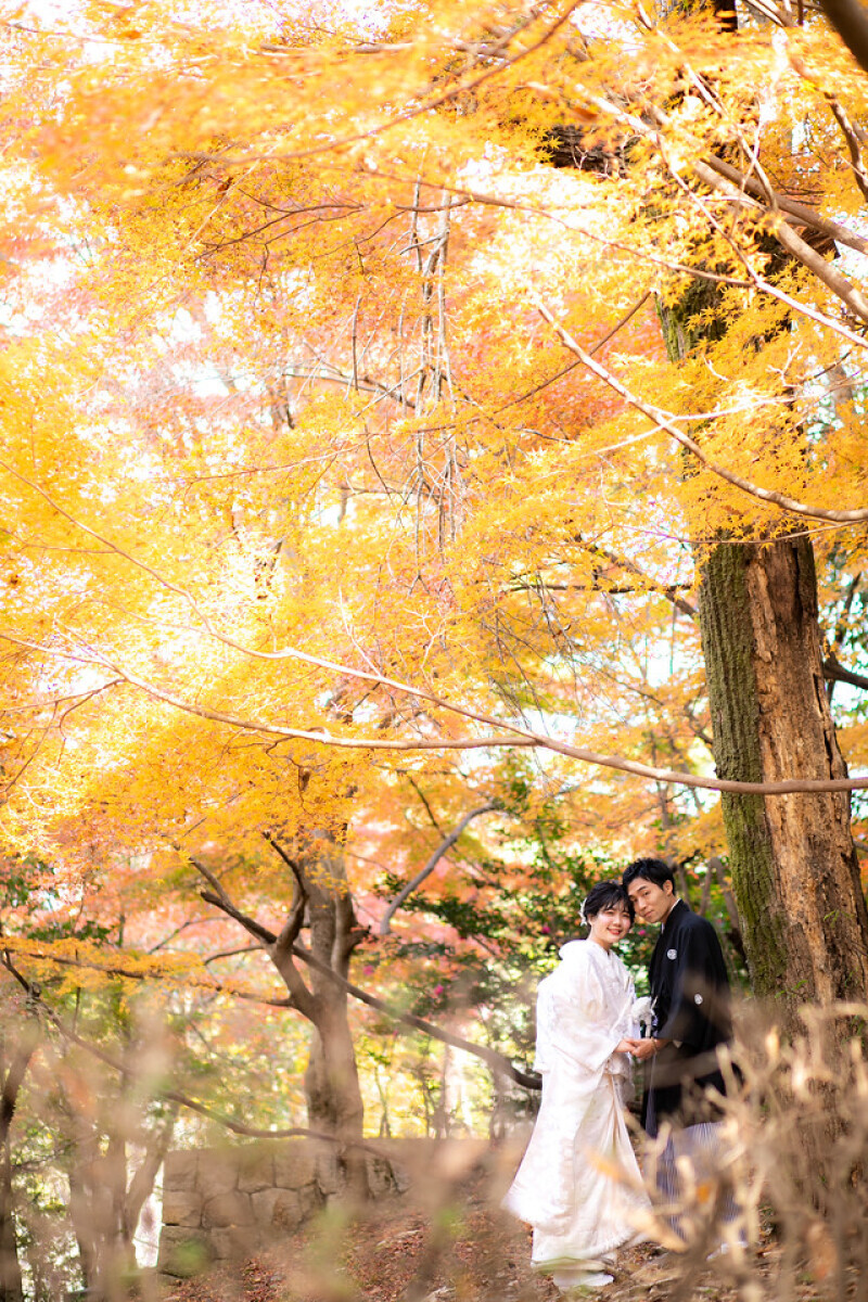 京都 あざらし堂 ー写真部ー_投稿写真