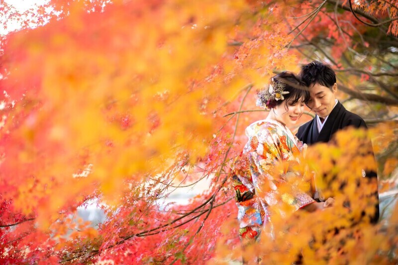 京都 あざらし堂 ー写真部ー_投稿写真