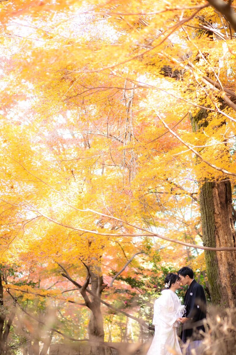 京都 あざらし堂 ー写真部ー_投稿写真