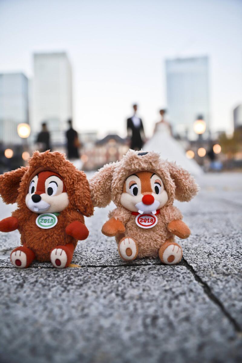 Asect東京店_投稿写真