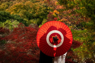 京都 あざらし堂 ー写真部ー_アドバイス写真