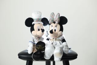 studio LUMINOUS 銀座_アドバイス写真