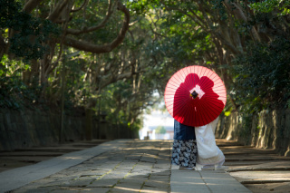 ル・トレフル produced by スタジオエス_アドバイス写真