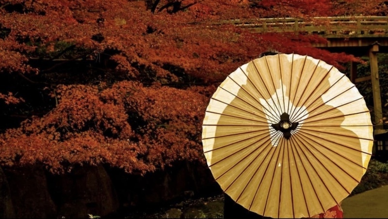 K&rsquo;s factory Photo&Movie_投稿写真