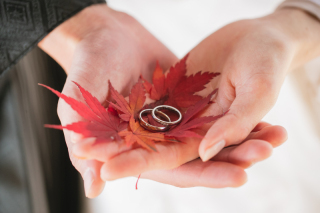 Vivid_アドバイス写真