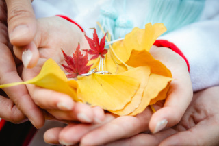 Photo Jellish　横浜（フォトジェリッシュ横浜）_アドバイス写真