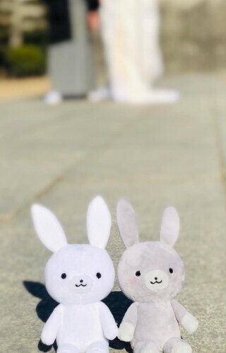 クローバーズウエディングフォト_アドバイス写真