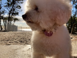 Rita closet・Rita Photo_アドバイス写真