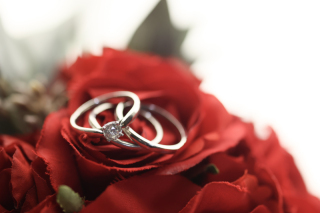 studio LUMINOUS お台場_アドバイス写真