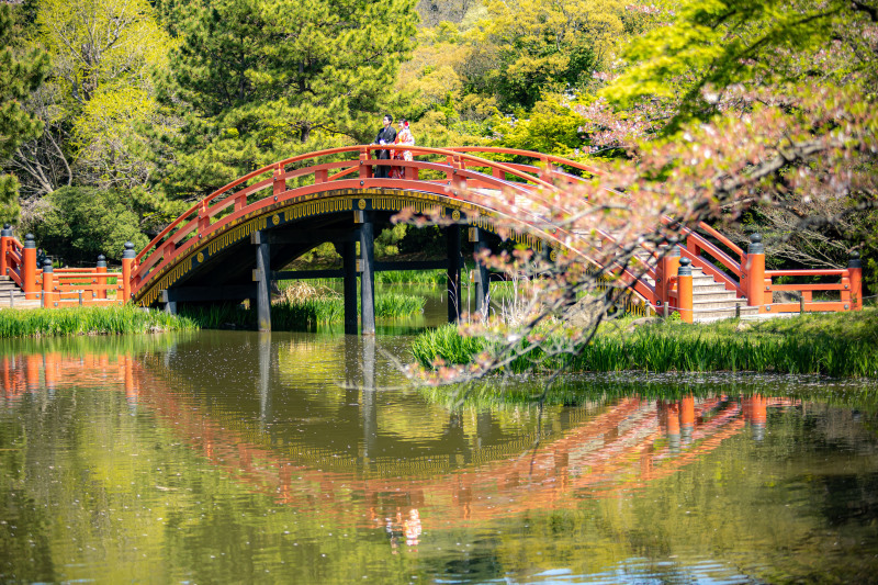 価格・サービス・写真全てに驚きと感動を与えてくれる最高品質_30923_投稿写真_3