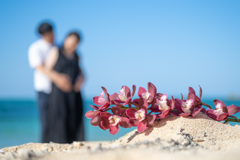 photo studio ouchi_投稿写真