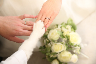 Palette札幌中央店(写真工房ぱれっと)_アドバイス写真