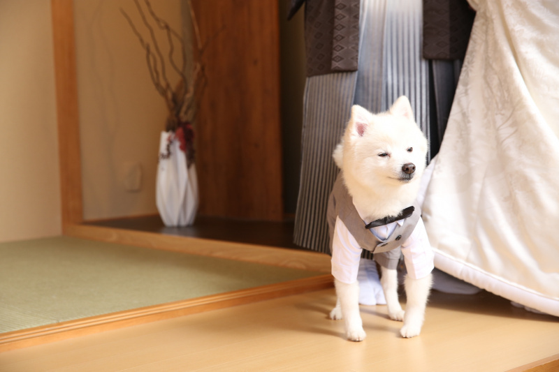 Palette札幌中央店(写真工房ぱれっと)_投稿写真