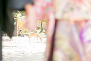 スタジオゼロ奈良店_アドバイス写真