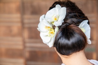 ハルウェディング_アドバイス写真