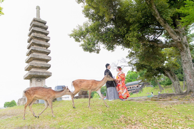 奈良らしさ満点！_21208_投稿写真_1
