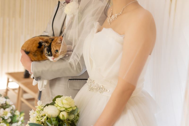 小さな結婚式 岡山店_投稿写真