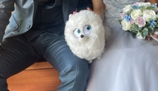 藻岩シャローム教会_アドバイス写真