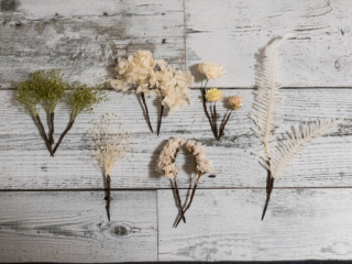 らかんスタジオ立川店_アドバイス写真