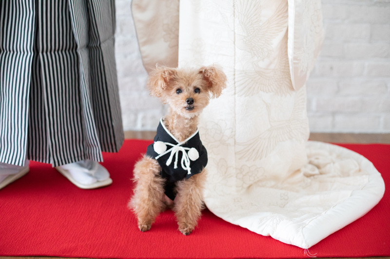 写真だけの結婚式　ecoo（エクー）_投稿写真