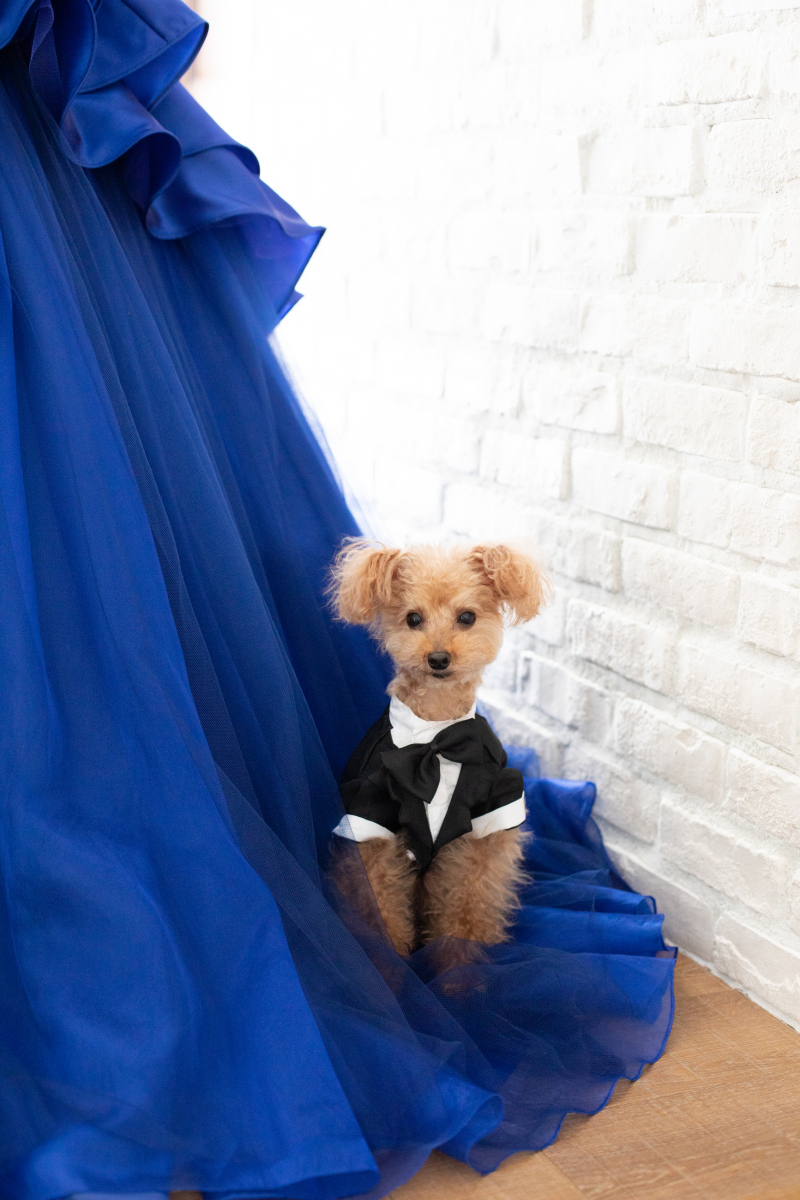 写真だけの結婚式　ecoo（エクー）_投稿写真