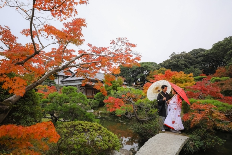 コスパを求めるならおすすめ！_21638_投稿写真_1