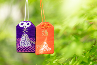 スタジオコンフェッティ_アドバイス写真