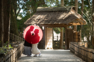 ル・トレフル produced by スタジオエス_アドバイス写真