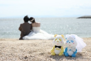 DRESSING NEST_アドバイス写真