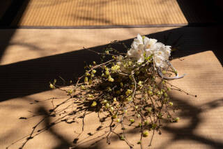 ラヴィファクトリー福岡店_アドバイス写真